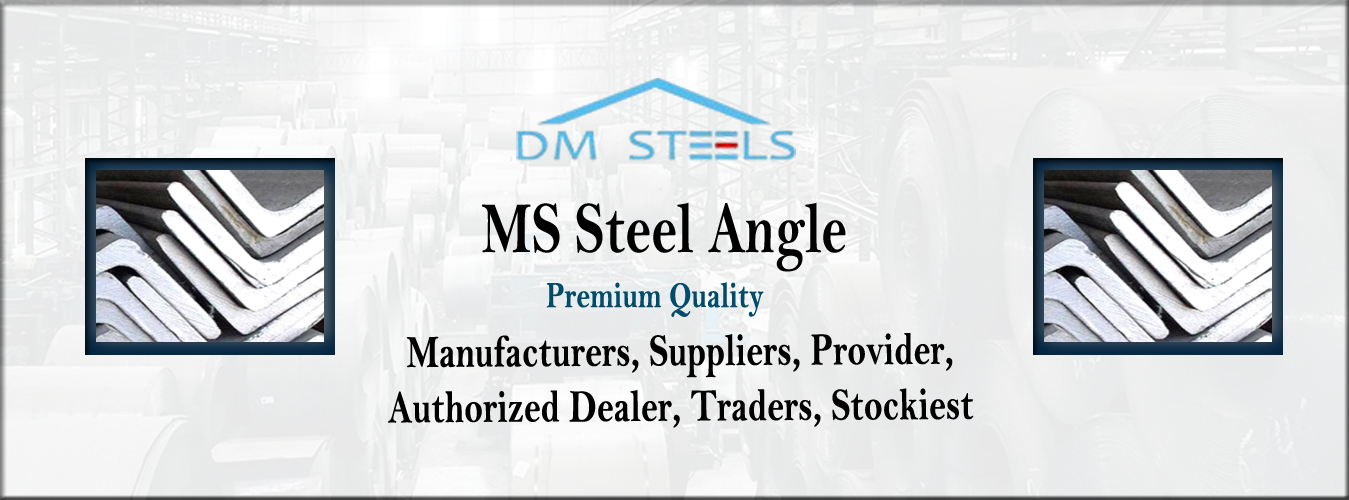 MS Steel Angle Provider